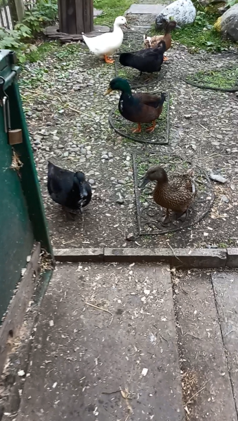 Trying to get all of them in one photo is no easy task